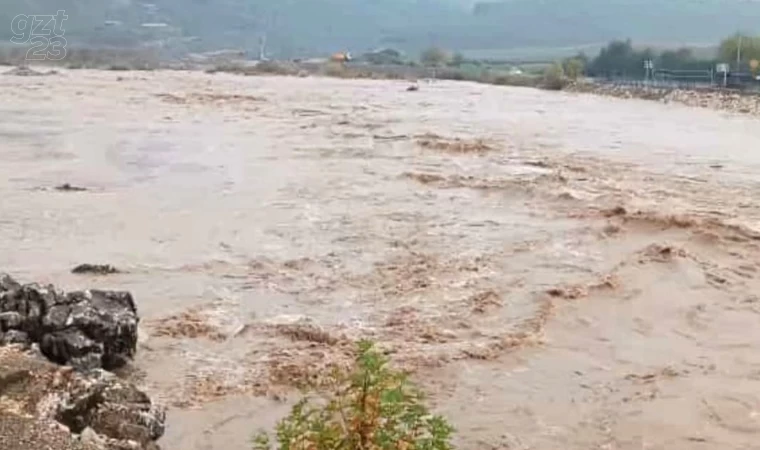 Aşırı yağış sonrası Dipni çayı coştu