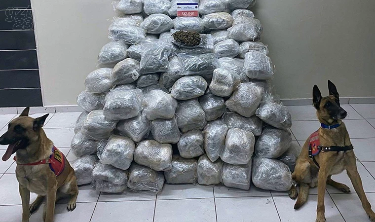 Elazığ’da 138 kilo skunk ele geçirildi