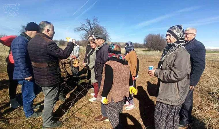 Elazığ’da budama eğitimleri sürüyor