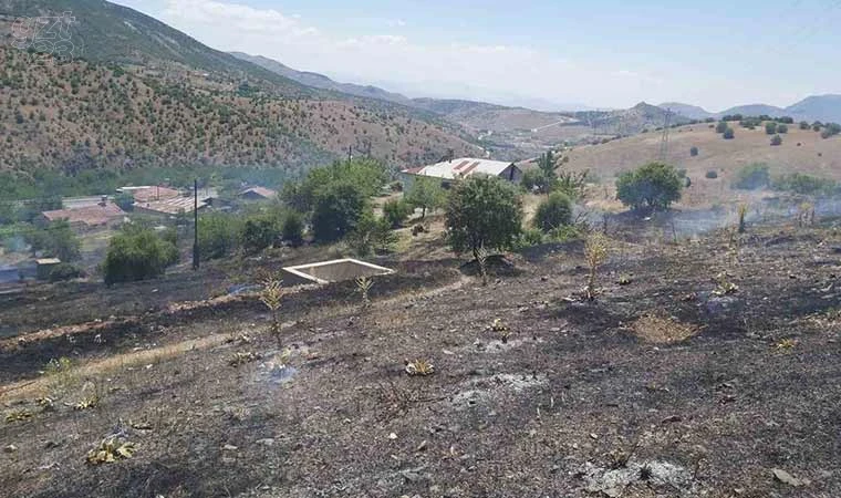 Elazığ’da ot yangını