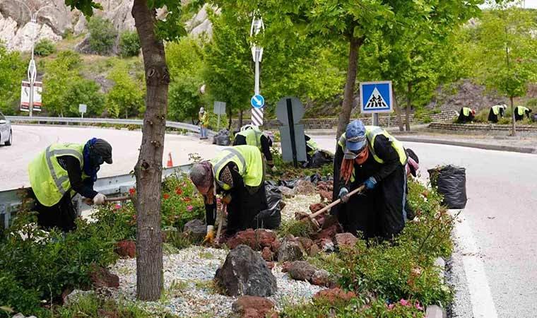 Elazığ’da yeşil alanlarda bahar temizliği