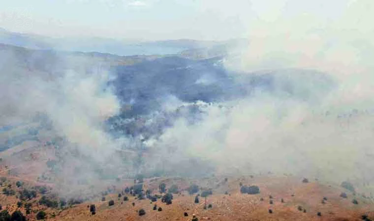 Elazığ’da orman yangını