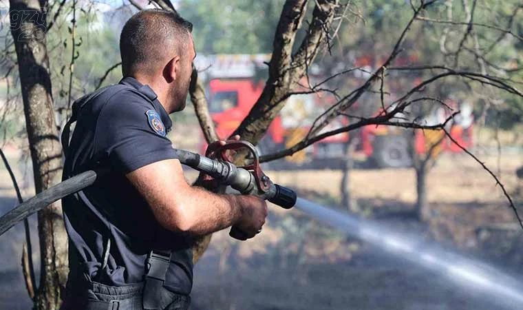 Elazığ’da örtü ve bahçe yangını