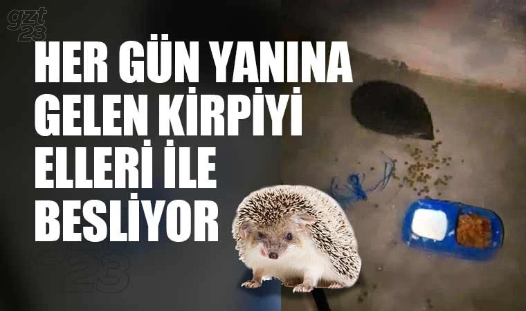 Kirpiyi elleri ile besliyor