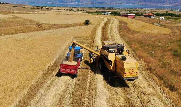 Elazığ’da 900 bin dekar alanda hasat yapılması bekleniyor