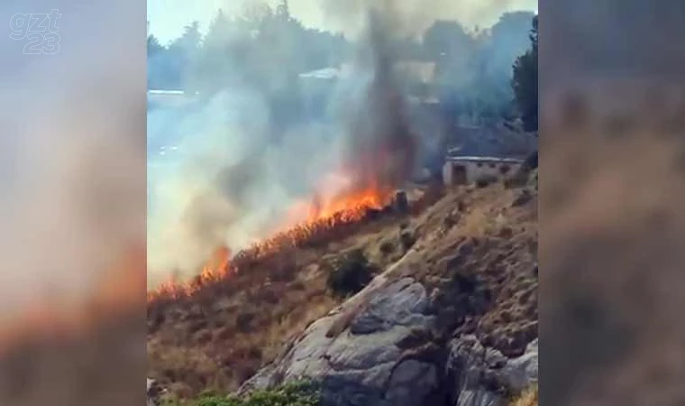 Otluk alanda çıkan yangın korkuttu