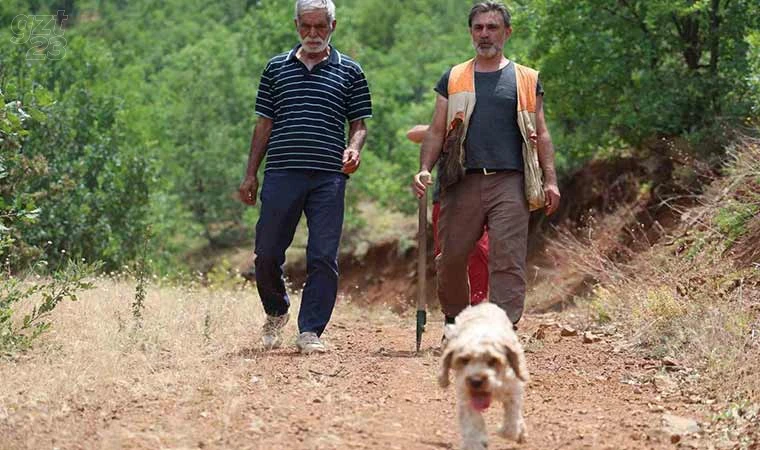 Şehir şehir gezerek ‘kara elmas’ arıyor