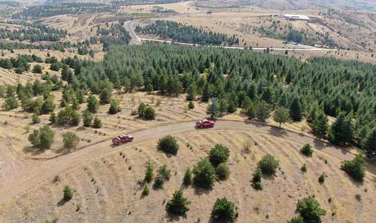 Elazığ’da orman ekipleri, havadan ve karadan denetimlerini sürdürüyor