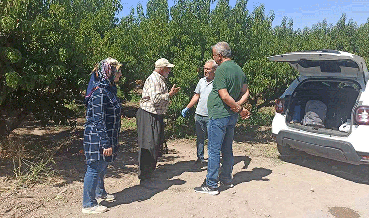 Elazığ’da şeftali bahçelerinde zararlı kontrolleri devam ediyor