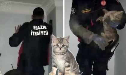 Bacada sıkışan kediyi itfaiye kurtardı