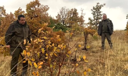 Elazığ’da kaçak avlanmaya geçit yok
