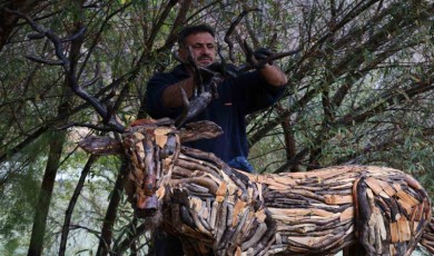 Kuru dalları sanata dönüştürüyor