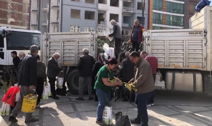 Ücretsiz fidan dağıtıldı