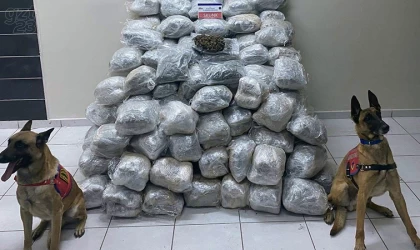 Elazığ’da 138 kilo skunk ele geçirildi