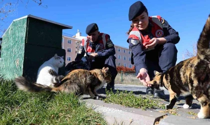 Jandarmadan şefkat eli