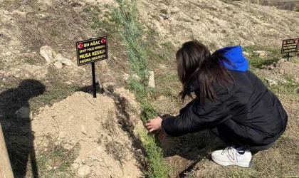 Öğrenciler şehitler anısına fidan dikti