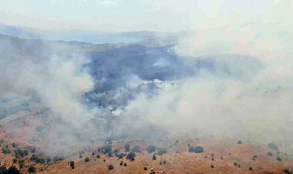 Elazığ’da orman yangını