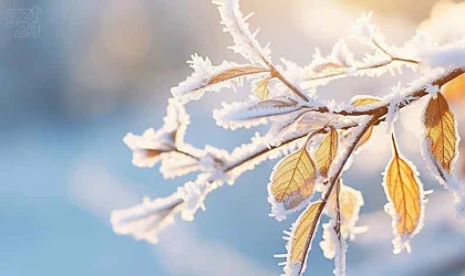 Meteorolojiden zirai don uyarısı