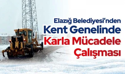 Karla mücadele çalışmaları sürüyor