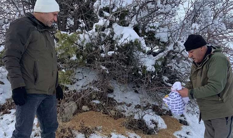 Elazığ’da yaban hayvanları unutulmadı