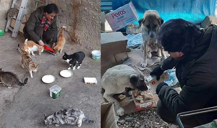 Sokak hayvanlarına gözü gibi bakıyor