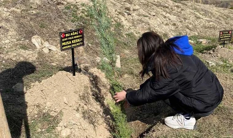 Öğrenciler şehitler anısına fidan dikti