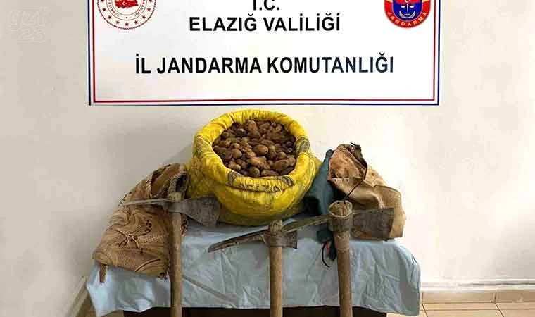 30 kilogram salep bitkisi ele geçirildi