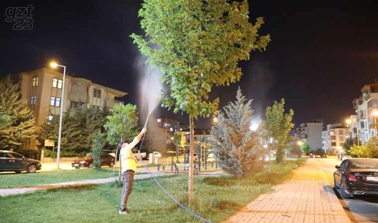 Elazığ Belediyesi yeşil alanlarda da ilaçlama çalışması gerçekleştiriyor