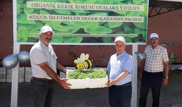 30 bin kekik fidesi dağıtıldı