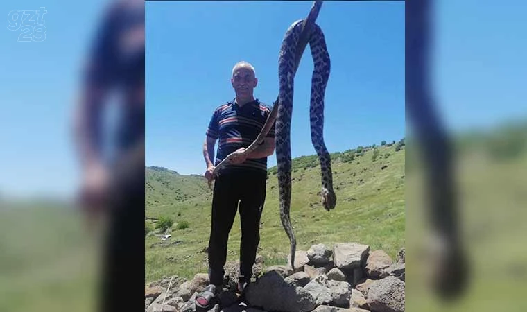 Elazığ’da görülen yılan vatandaşları tedirgin etti