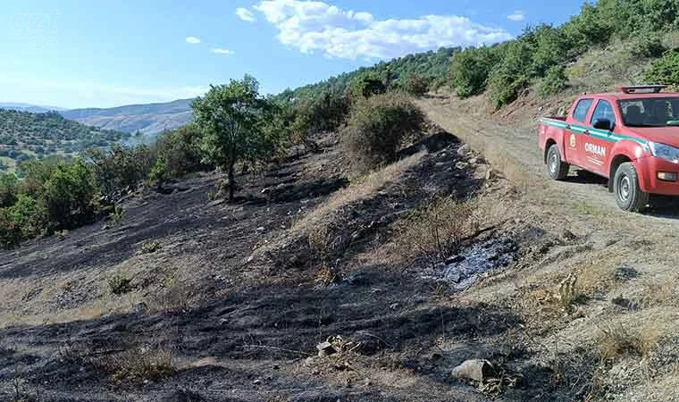 Elazığ’da korkutan yangın