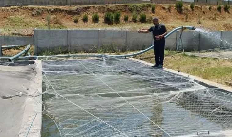 Elazığ’da Su Ürünleri AR-GE Merkezinde üretim çalışmaları sürüyor