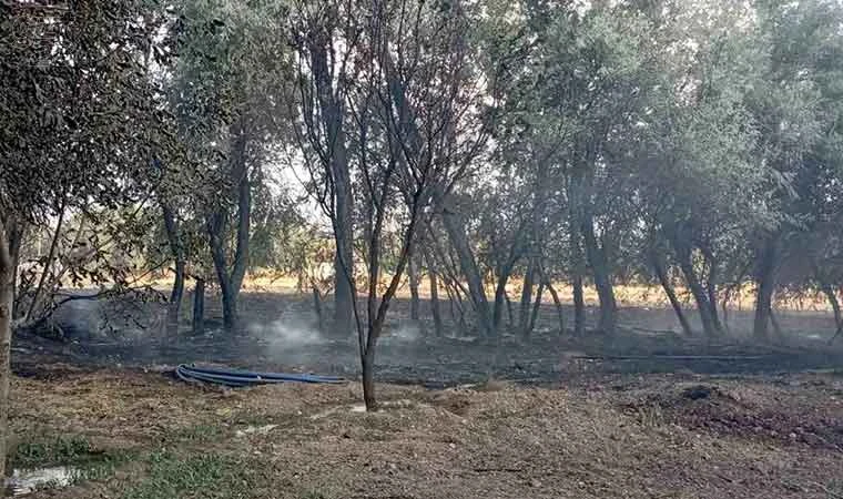 Elazığ’da bahçede korkutan yangın