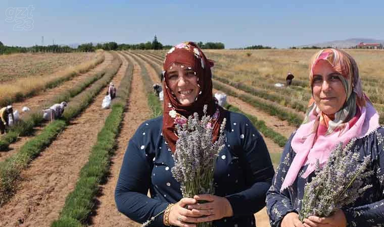 Gelin-görümce sırt sırta verdi, lavanta bahçesi kurdu