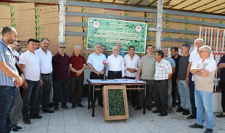 Elazığ’da 42 üreticiye fide dağıtıldı