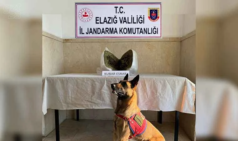 Elazığ’da 7 kilo esrar ele geçirildi: 1 gözaltı