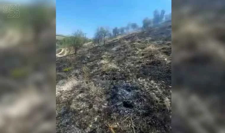 Elazığ’da otluk alanda korkutan yangın