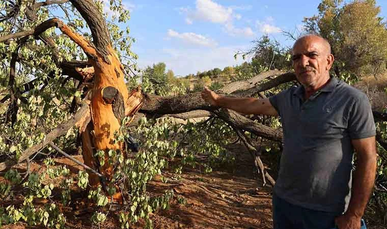 Aynı bölgeye 3 defa yıldırım düştü