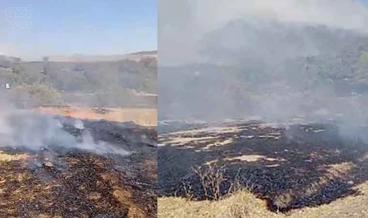 Elazığ’da otluk alanda yangın