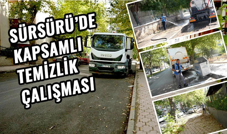 Sürsürü’de temizlik seferberliği
