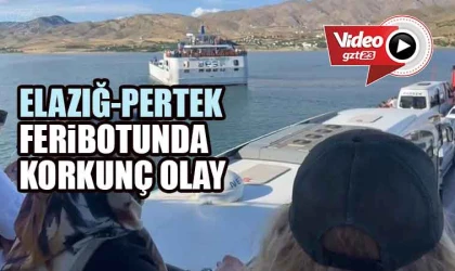 Feribottan baraj gölüne atladı